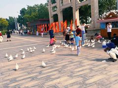 -天津妈祖文化园