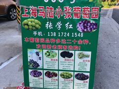 -马陆小张葡萄园农家乐