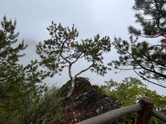 -商洛老君山旅游风景区