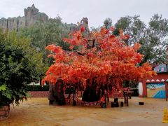 -郑州方特梦幻王国