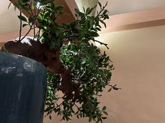 -锅物新语&寿喜烧.炉端割烹(世博源店)