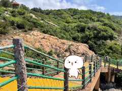 -广东惠东海龟国家级自然保护区