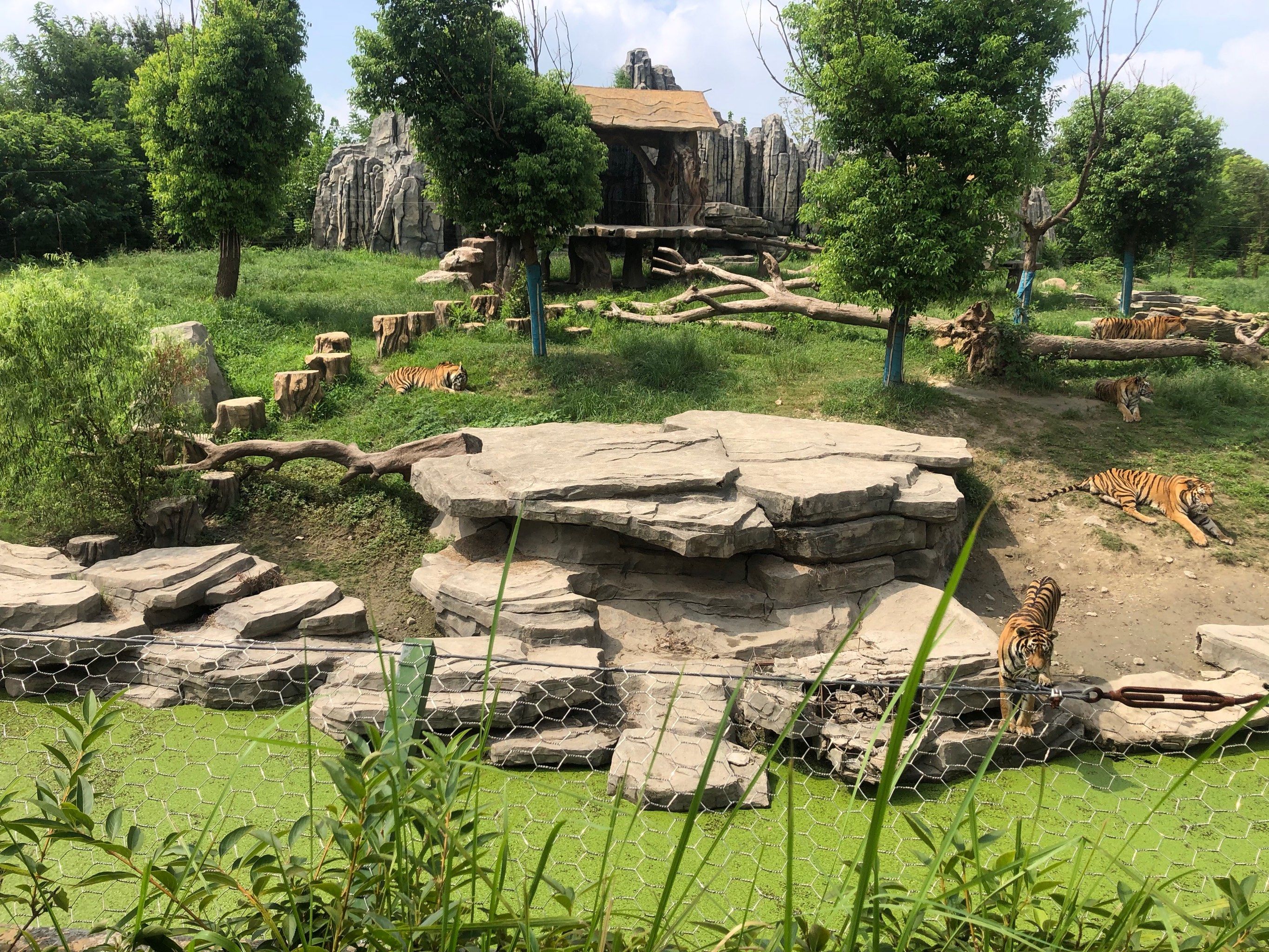 南通野生动物园