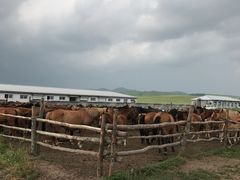 -塞罕坝国家级自然保护区