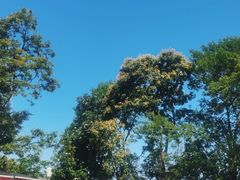 -终南山南五台景区