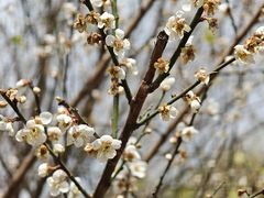 -中国移动南方基地