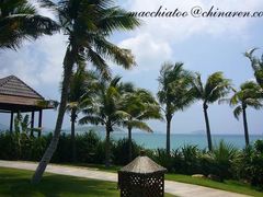 13副本-三亚亚龙湾红树林度假酒店