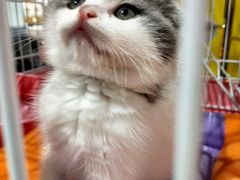 -龟与熊猫宠物公园(南坪店)