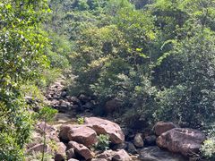 -广州白江湖森林公园