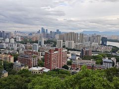 -福道