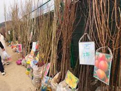 -示范集贸市场