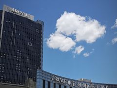 -电谷雅阁国际大酒店