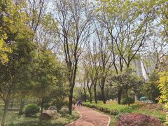 -唐城墙遗址公园