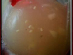大果冻~-味中味(东街店)