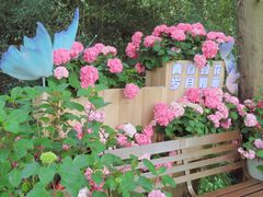 -上海滨江森林公园