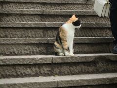 -灵顺寺