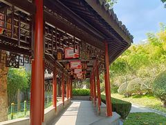 -常州古运河南大街文化旅游区-人民公园