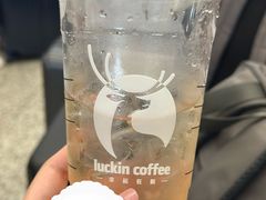 轻咖椰子水-瑞幸咖啡(深圳北高铁站内部店-B12检票口二楼)