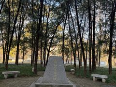 -北京动物园-畅观楼