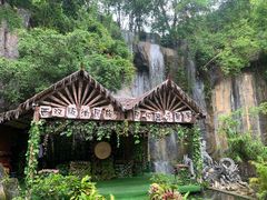 -西双版纳原始森林公园