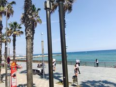 -小巴塞罗那海滩