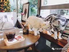 -咖法森林·咖啡  酒吧(天河店)