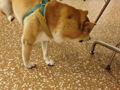 -朱富贵火锅(金融街万达店)