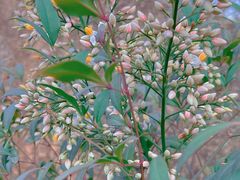 -湖南别院·美学庭院餐厅(惠阳店)