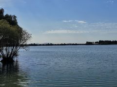 -贡湖湾湿地公园