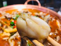 -沪小二炭火蛙锅(淮海中路美食不夜城店)