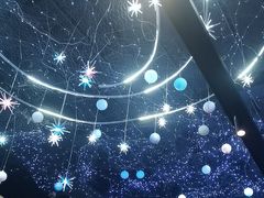 -1718海鲜姿造(苏宁宴请臻选店)