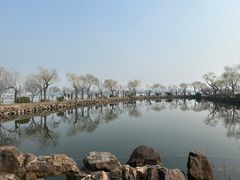 -无锡蠡湖国家湿地公园-蠡园