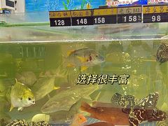 -明记海鲜大排档(巽寮湾店)