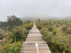 -白草畔自然风景区