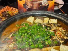 -探鱼·鲜青椒爽麻烤鱼(正佳广场店)