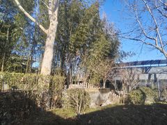 -春晖园度假酒店温泉