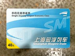 -龙阳路磁悬浮列车总站-停车场