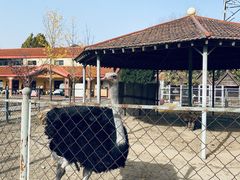 -意大利农场西餐厅(顺义店)