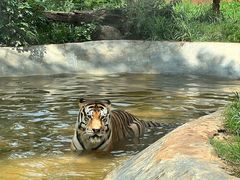 -昆明动物园