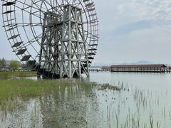 -苏州太湖湖滨国家湿地公园