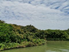 -大湾区中央湿地公园