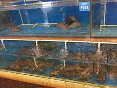 -御唐府海珊瑚主题餐厅