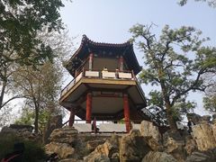 -莲花池公园