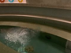 -上海千禧海鸥大酒店
