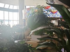 -深圳富临大酒店