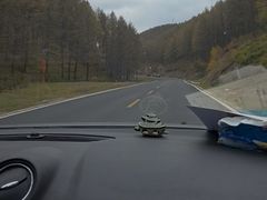 -塞罕坝国家级自然保护区