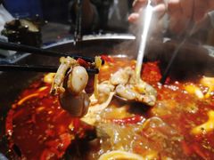 美蛙-销魂美蛙鱼头火锅(上海首店)