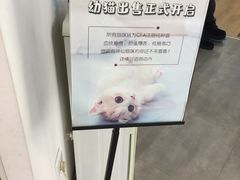 -猫冇咖·家门口的撸猫馆(大融城店)