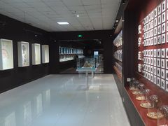 -青岛贝壳博物馆