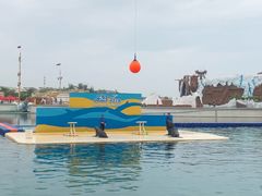 -秦皇岛乐岛海洋王国